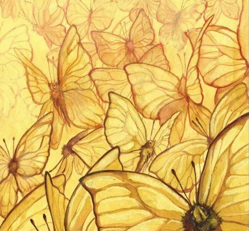 Mariposas de "Cien años de soledad".