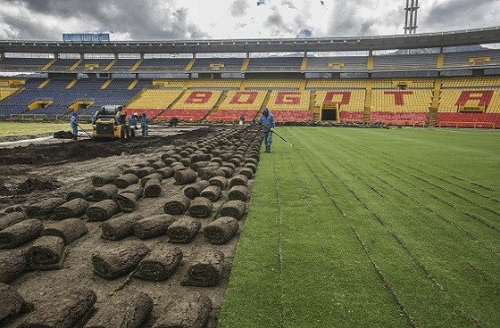 Gramilla de El Campín